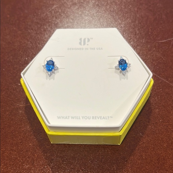 Bomb Party Jewelry - BP Blue Gemstone Earrings